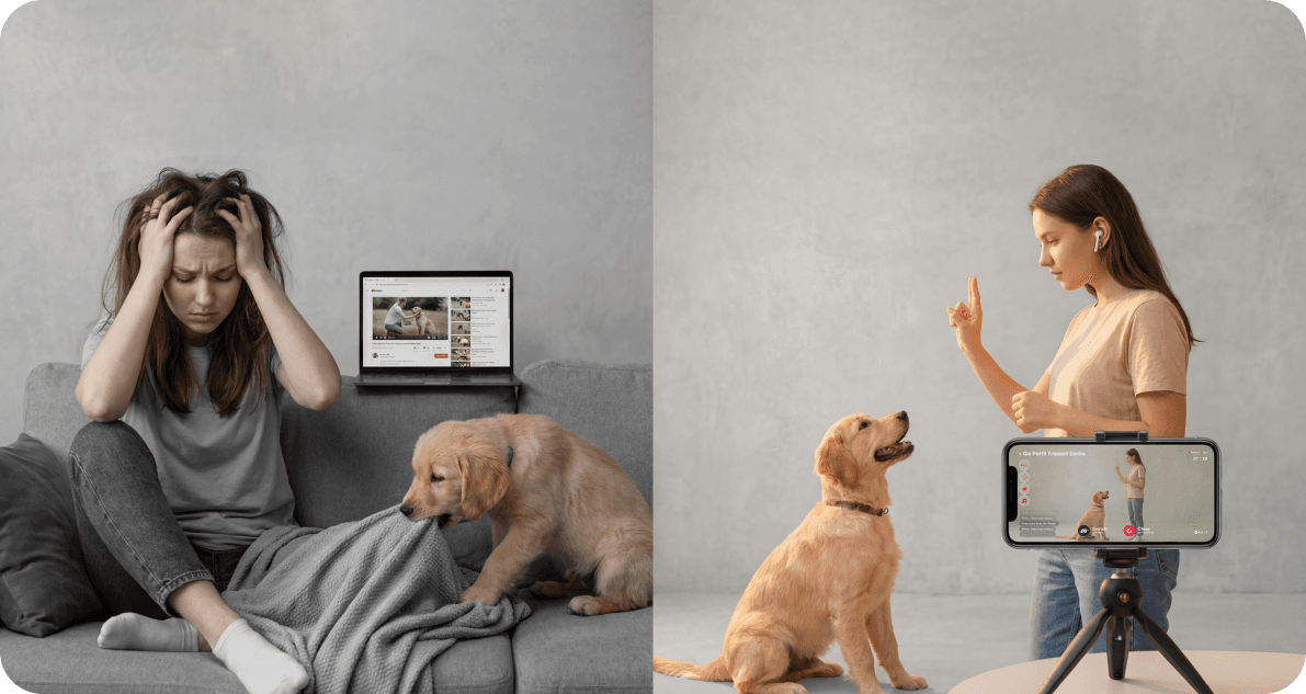 Feedback over Videos