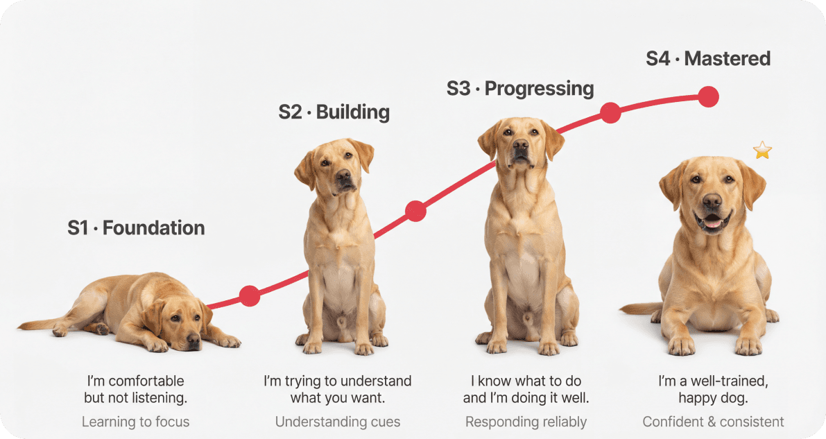 Progress & Consistency