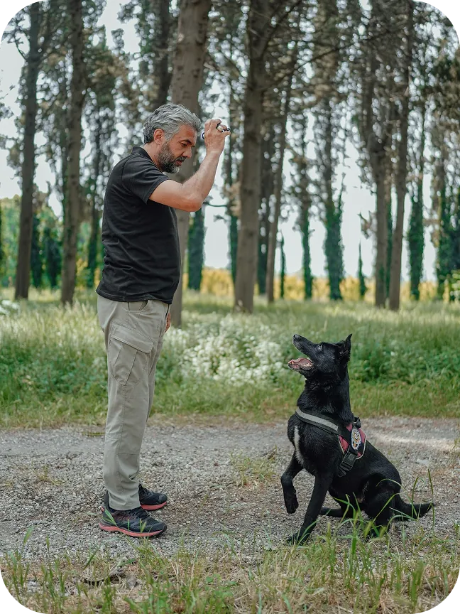 Person's hand giving a treat to dog